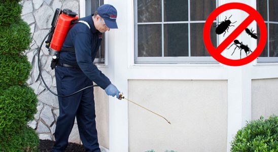 Kumluca Dezenfeksiyon böcek ilaçlama ve haşere kontrolü — ilaclama-tr.com